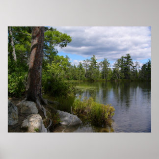 nelligan lake poster