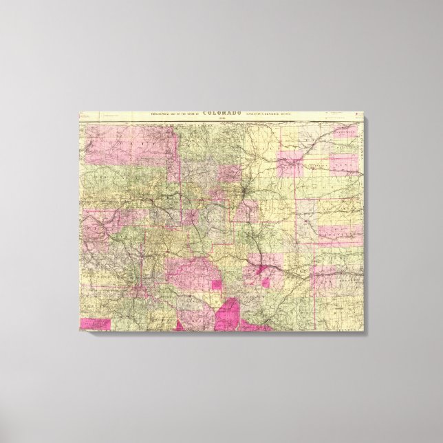 Nell's Topographical Map of Colorado Canvas Print (Front)