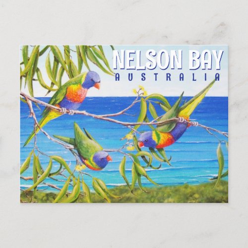 Nelson Bay Australia Birds Lorikeet Beach Painting Postcard