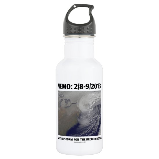 Nemo: 2/8-9/2013 Winter Storm Record Books Stainless Steel Water Bottle