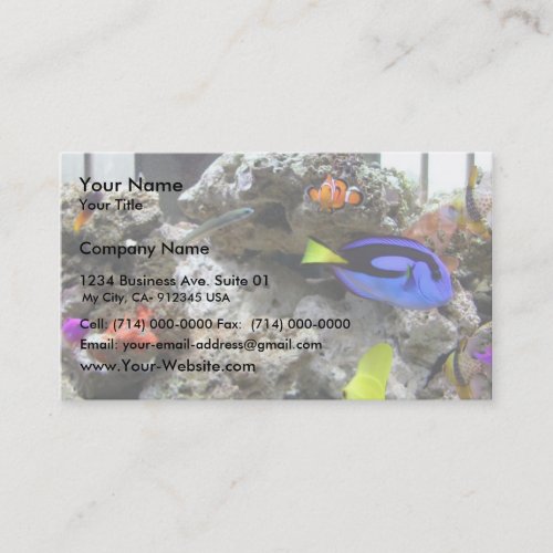 Nemo With His Gang Business Card