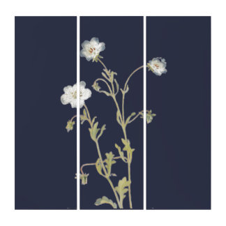 Nemophila Flowers Triptych