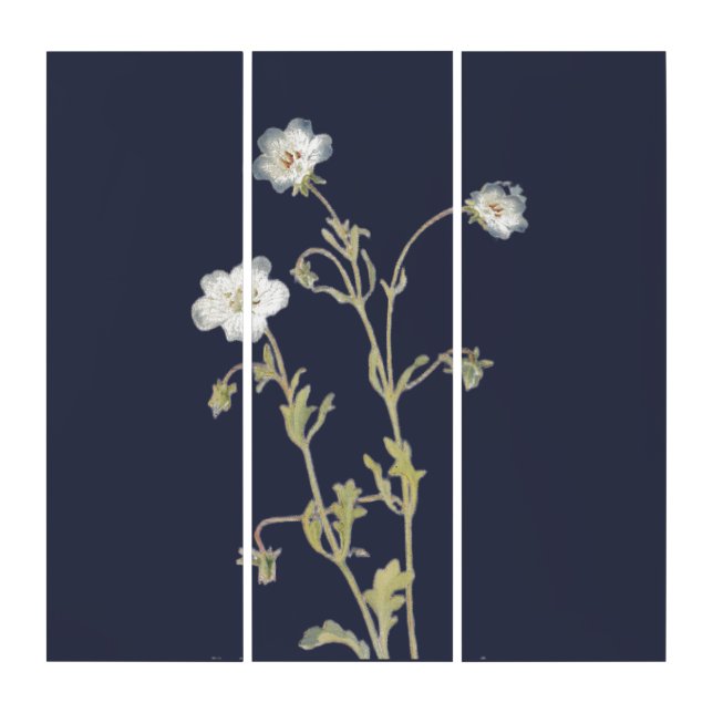 Nemophila Flowers Triptych (Front)