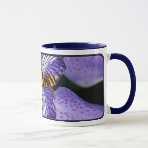 Neomarica Mug