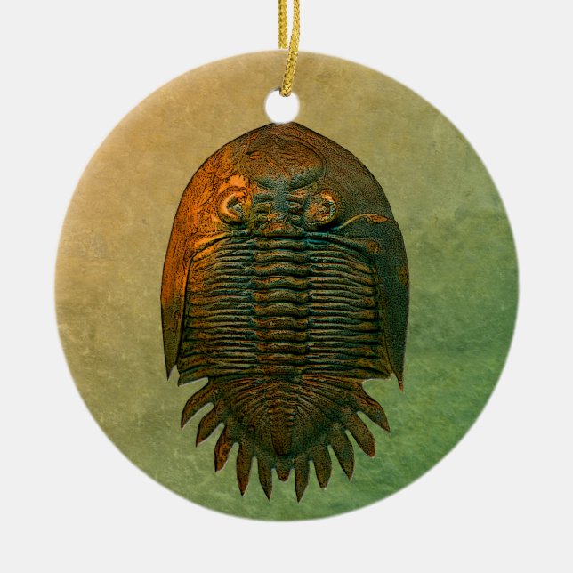 Neometacanthus Fossil Trilobite Ceramic Ornament (Front)