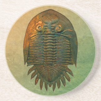 Neometacanthus Fossil Trilobite Drink Coaster