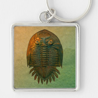 Neometacanthus Fossil Trilobite Keychain