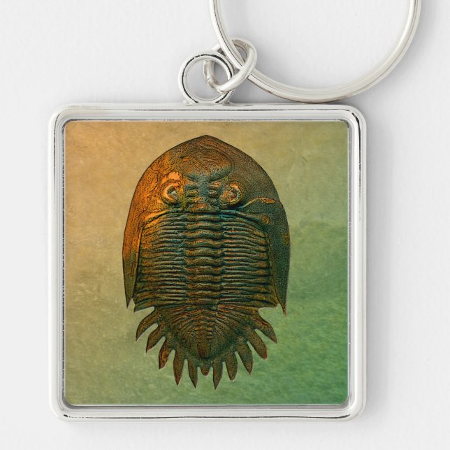 Neometacanthus Fossil Trilobite Keychain (Front)