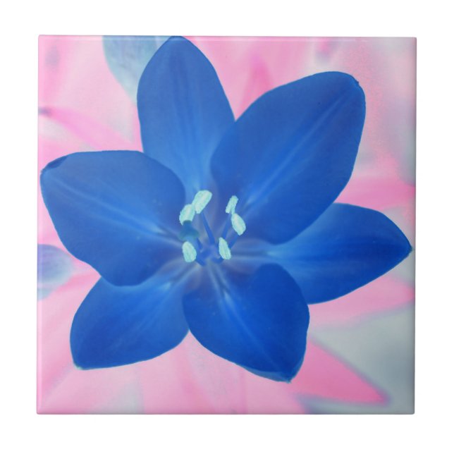 Neon Blue Lily Flower Pink Background Ceramic Tile (Front)