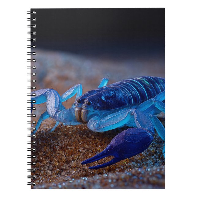 Neon Blue Scorpion Notebook (Front)