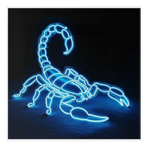 Neon Blue Scorpion With White Highlights Acrylic Print