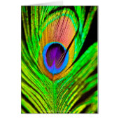 Neon Colors Peacock Feather (Front)
