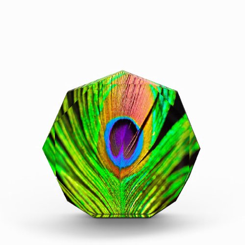 Neon Colors Peacock Feather Award