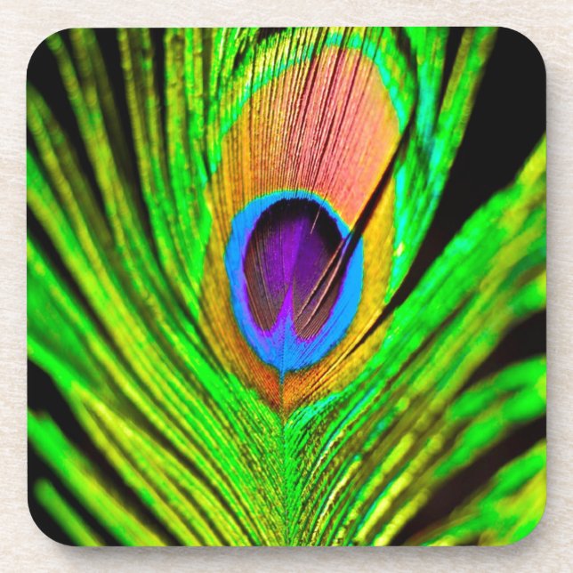 Neon Colors Peacock Feather Beverage Coaster (Front)