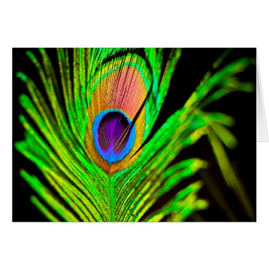 Neon Colors Peacock Feather Cards (Front Horizontal)