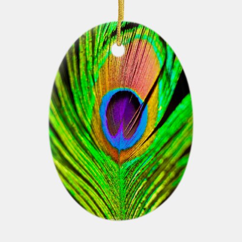 Neon Colors Peacock Feather Ceramic Ornament