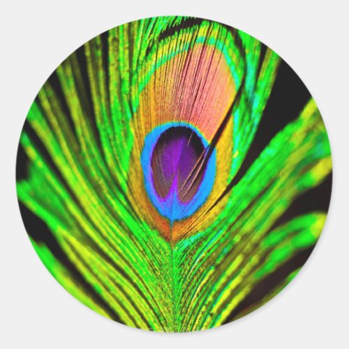 Neon Colors Peacock Feather Classic Round Sticker