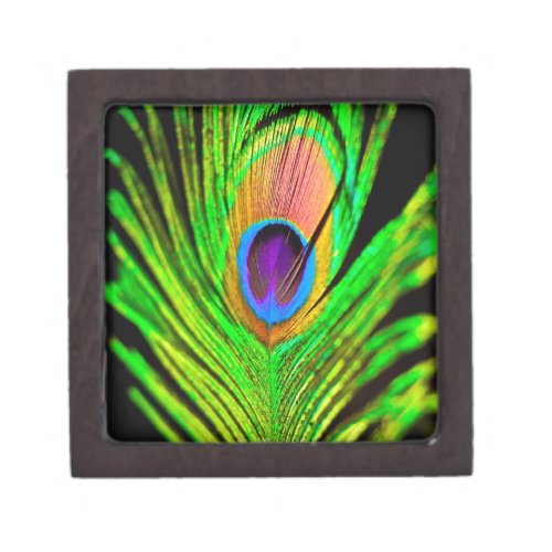 Neon Colors Peacock Feather Gift Box