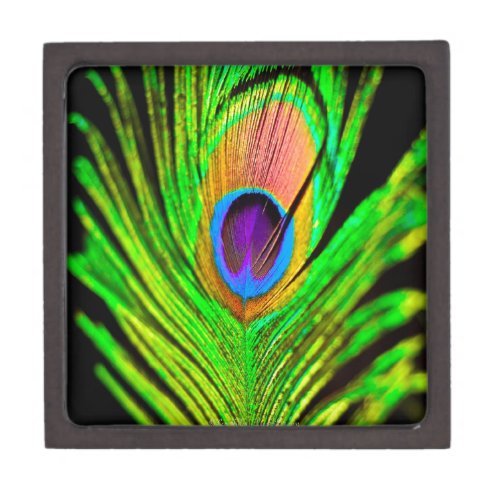 Neon Colors Peacock Feather Keepsake Box