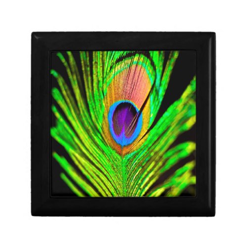 Neon Colors Peacock Feather Keepsake Box