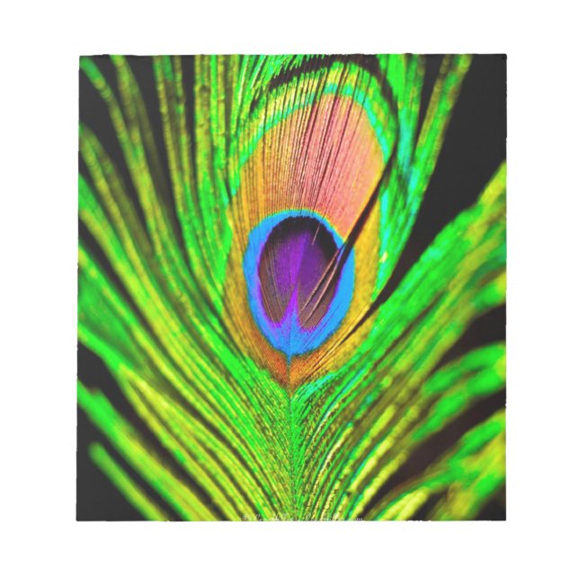 Neon Colors Peacock Feather Notepad (Front)
