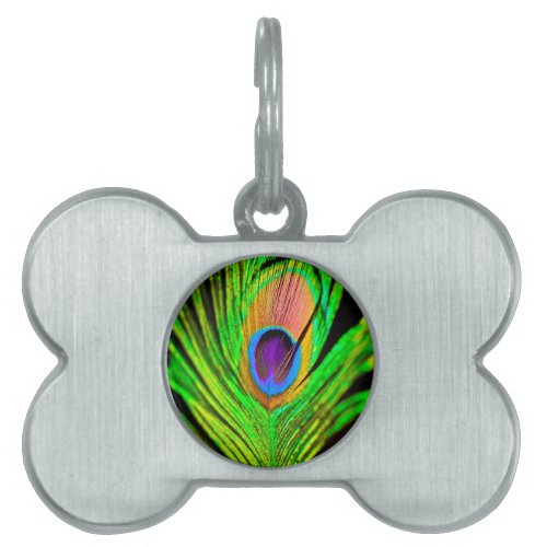 Neon Colors Peacock Feather Pet Name Tag