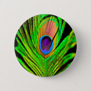 Neon Colors Peacock Feather Pinback Button