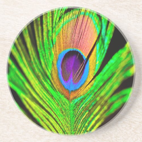 Neon Colors Peacock Feather Sandstone Coaster
