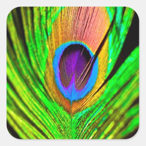 Neon Colors Peacock Feather Square Sticker