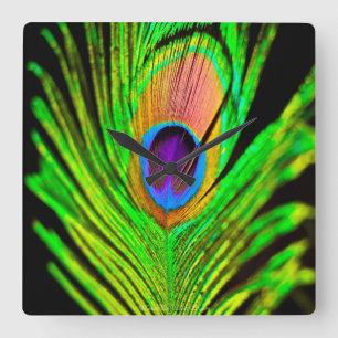 Neon Colors Peacock Feather Square Wall Clock