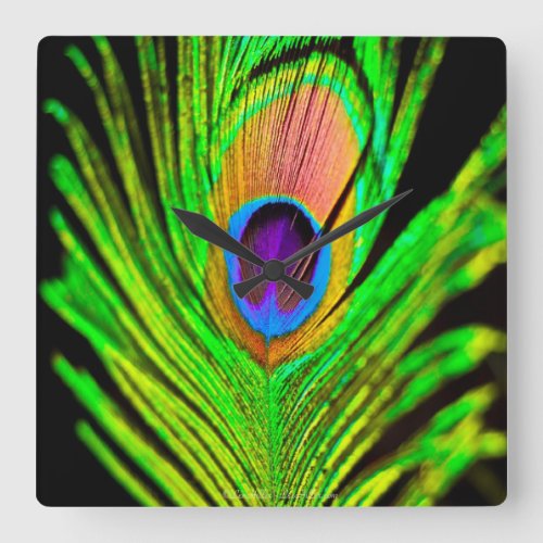 Neon Colors Peacock Feather Square Wall Clock