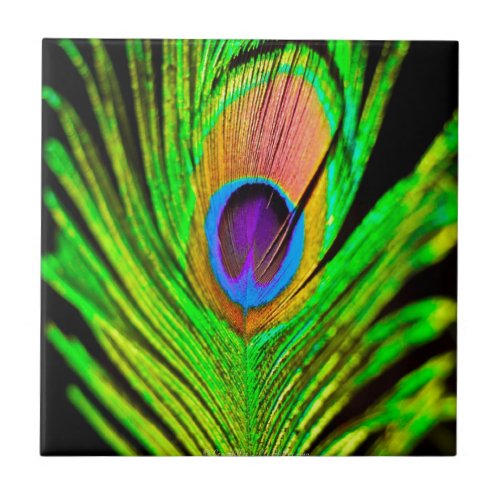 Neon Colors Peacock Feather Tile