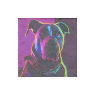 neon dog stone magnet