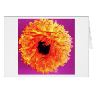 NEON FIORI CARDS