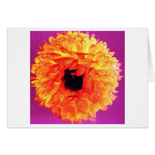 NEON FIORI CARDS (Front Horizontal)