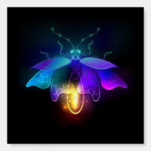 Neon Firefly on black Foam Board
