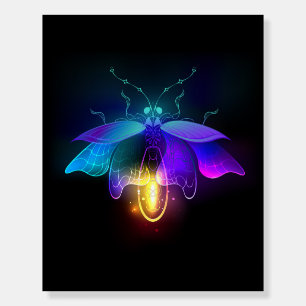 Neon Firefly on black Foam Board
