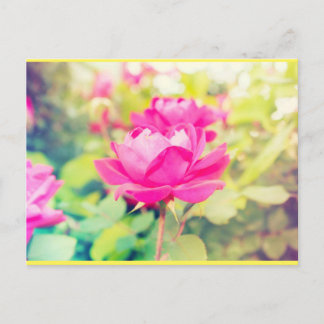 Neon Garden Dreams Postcard