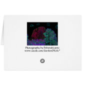Neon Glow Devils Tower Cards (Back Horizontal)