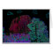 Neon Glow Devils Tower