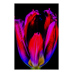 Neon Glow Tulip Poster