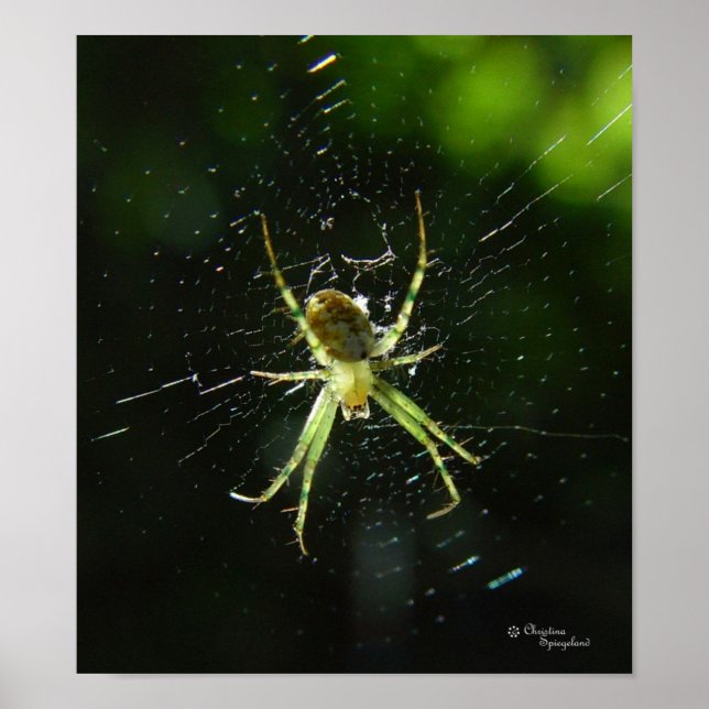 Neon Green Spider Poster (Front)