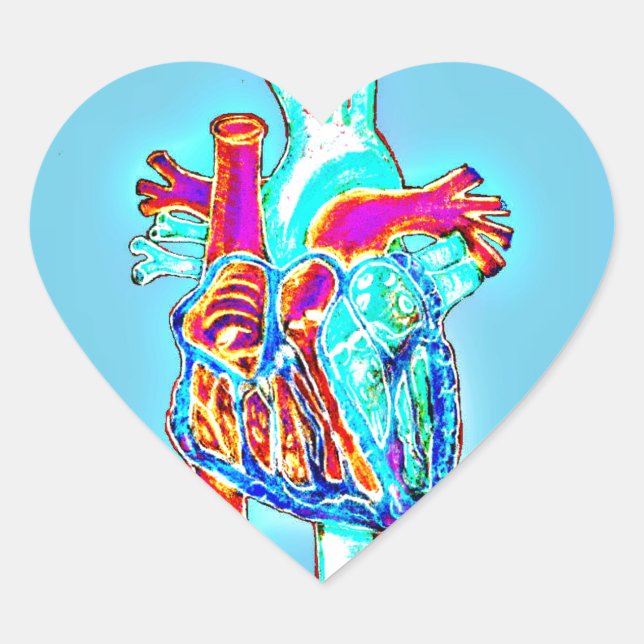 Neon Hand Drawn Anatomical Heart Sticker (Front)