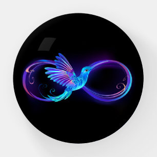 Neon Infinity Symbol with Glowing Hummingbird Paperweight