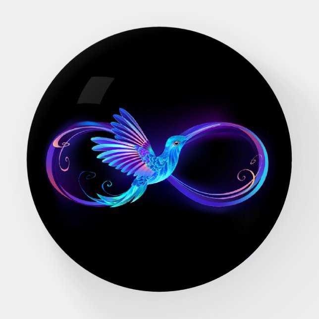 Neon Infinity Symbol with Glowing Hummingbird Paperweight (Front)