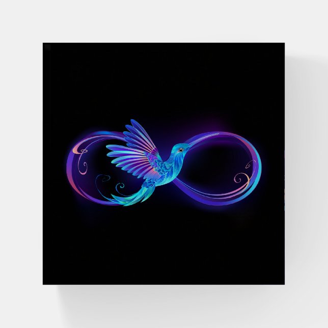 Neon Infinity Symbol with Glowing Hummingbird Paperweight (Front)