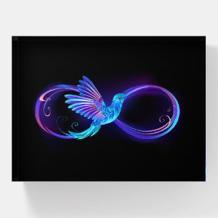 Neon Infinity Symbol with Glowing Hummingbird Paperweight