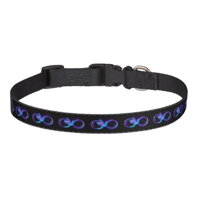 Neon Infinity Symbol with Glowing Hummingbird Pet Collar (Front)