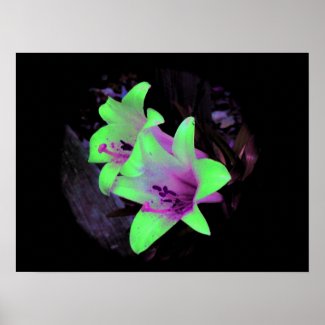 Neon Lilies Photograph Poster / Print