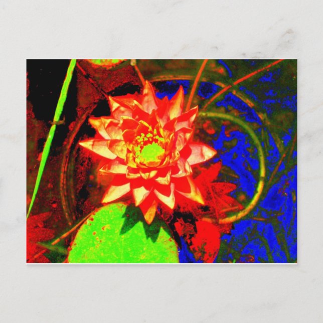 Neon Lily Postcard (Front)